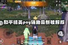 王者荣耀免费辅助分享（王者荣耀实用辅助）