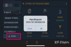修改器外挂王者荣耀怎么弄（修改器王者荣耀怎么用）