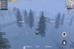 王者荣耀电脑版辅助器免费（王者荣耀电脑模拟辅助器）