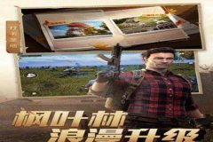 王者荣耀无情吃鸡辅助免费（王者荣耀吃鸡辅助教程）