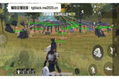 王者荣耀透视辅助免费ios（王者荣耀透视辅助器app ios）