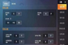 王者荣耀辅助器设置在哪里（王者荣耀辅助功能设置在哪）