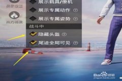 王者荣耀辅助设置教程苹果（王者荣耀辅助怎么设置教程）