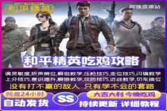王者荣耀手机辅助神奇宝贝下载（王者荣耀手机辅助器）