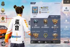 王者荣耀外挂巡查怎么巡查（王者荣耀开挂怎么巡查）