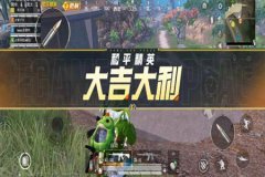 王者荣耀外辅助免费（王者荣耀透视辅助）