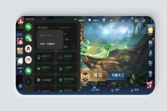 王者荣耀透视辅助卡盟免费（王者荣耀透视辅助下载）
