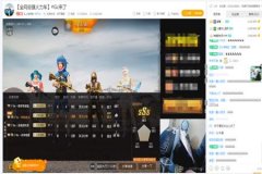王者荣耀外挂直装什么意思（王者荣耀外挂插件什么意思）