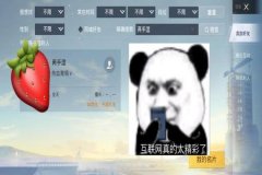 王者荣耀免费透视辅助主播（王者荣耀辅助主播专用）