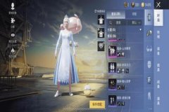 王者荣耀灰鱼辅助ios如何安装（王者荣耀黑科技辅助器ios）