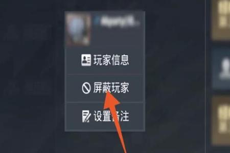 王者荣耀透视辅助ios版（王者荣耀透视辅助ios版1.0最新版）
