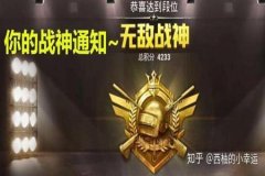 王者荣耀鸡腿辅助是什么（王者荣耀辅助代码是什么）