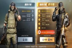 王者荣耀上车辅助哪个好用（王者荣耀辅助哪种好用）