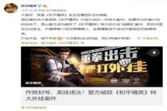 免费外挂辅助王者荣耀（防封号外挂王者荣耀）