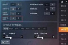 王者荣耀内部辅助枪法怎么设置（王者荣耀辅助射击怎么设置）