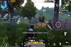 王者荣耀哪个外挂多（王者荣耀哪个模式外挂多）
