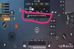 王者荣耀辅助器有用吗（王者荣耀按键辅助器有用吗）