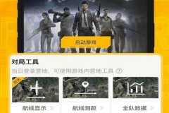 王者荣耀fz辅助的激活码是多少（王者荣耀辅助激活码）