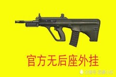 王者荣耀怎么辅助枪械准星（王者荣耀枪械稳定准星）