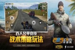王者荣耀手机版辅助ios（王者荣耀手机安卓版辅助）