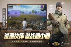 王者荣耀电脑端辅助（王者荣耀电脑加速辅助）