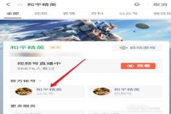 王者荣耀辅助器免费的软件（王者荣耀助手辅助器软件）