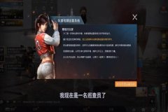 王者荣耀低价辅助网址是什么（王者荣耀低价辅助网站）
