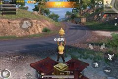 王者荣耀专用辅助神器免费版（王者荣耀辅助器真正版）