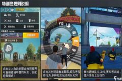 王者荣耀手游准星辅助（王者荣耀手游辅助功能）