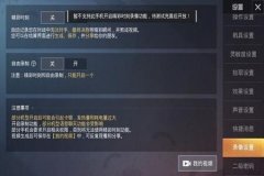 王者荣耀ios辅助怎么上分（王者荣耀ios辅助功能）