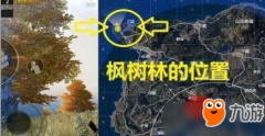 王者荣耀PC辅助《绝地求生王者荣耀》海岛野餐聚