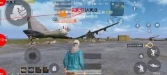 <b>王者荣耀飞鸟辅助，安卓免root辅助</b>